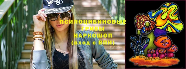СК Медногорск