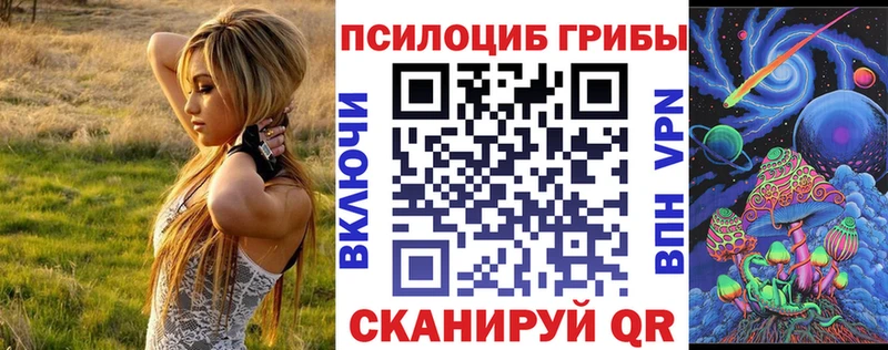 Псилоцибиновые грибы Cubensis  как найти   маркетплейс какой сайт  Осинники 