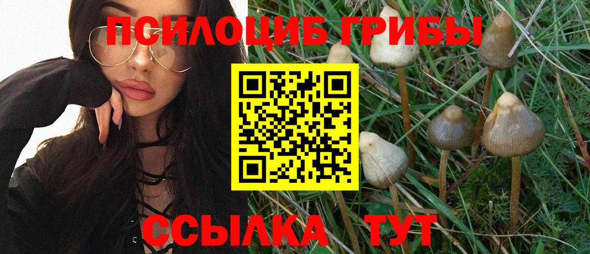 купить наркотик  Псилоцибиновые грибы Psilocybe  Осинники  Вход с VPN  Галлюциногенные грибы MAGIC MUSHROOMS 